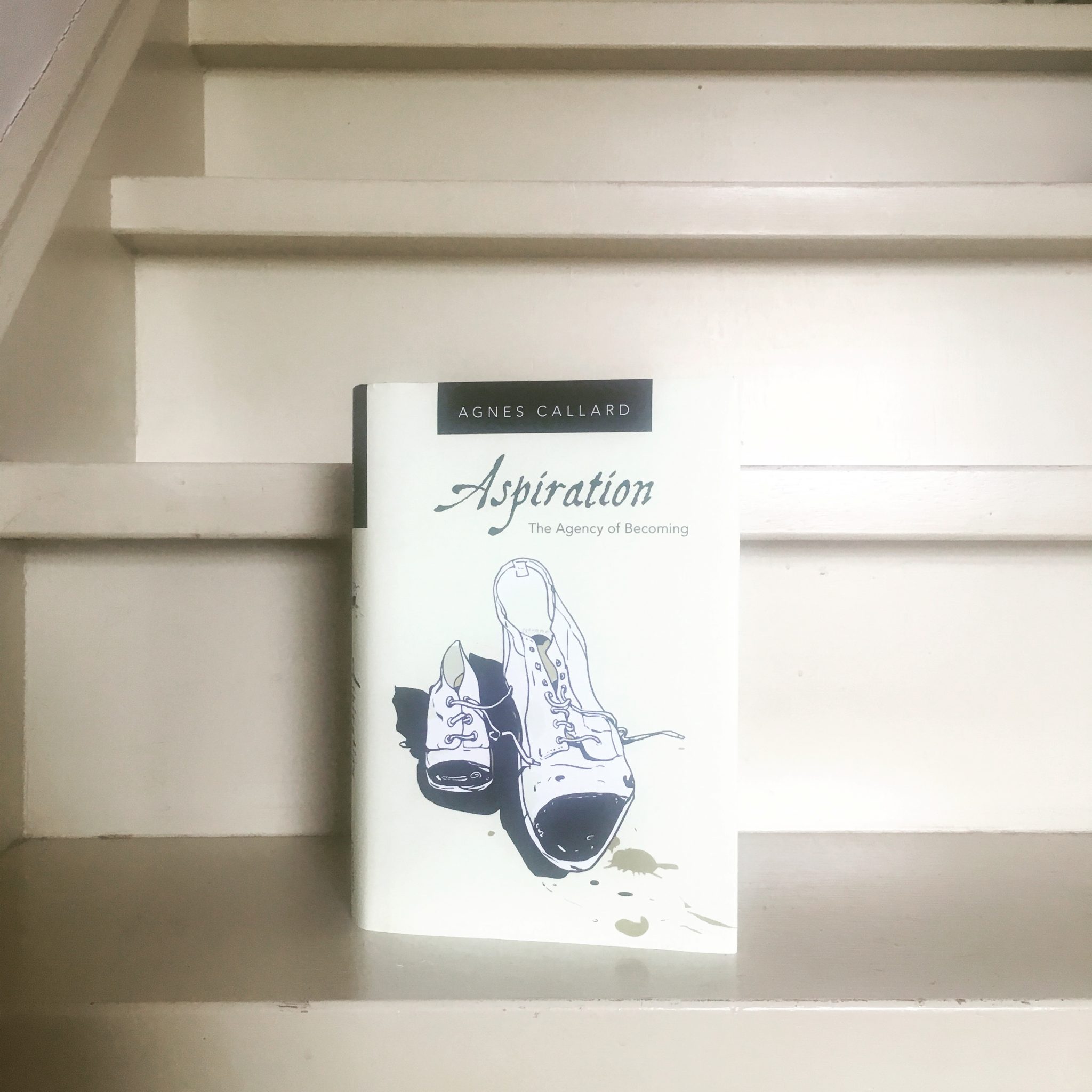 Aspiration The Agency of Riding the Dragon